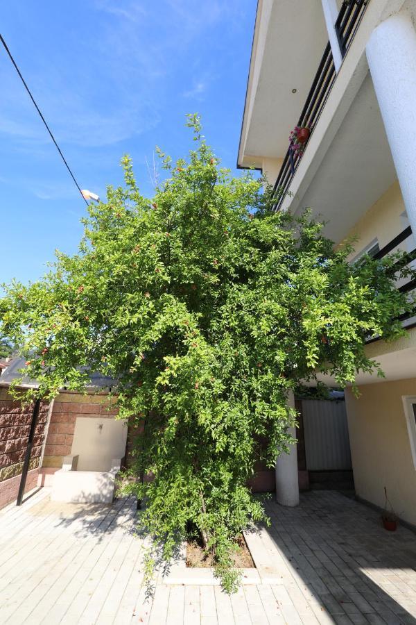 Rozalin Guest House Gudauta Exterior foto